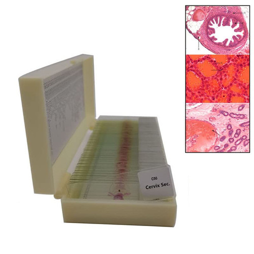 50pcs/Set Mixed Histology Slides Set Histology Prepared Microscope Slides