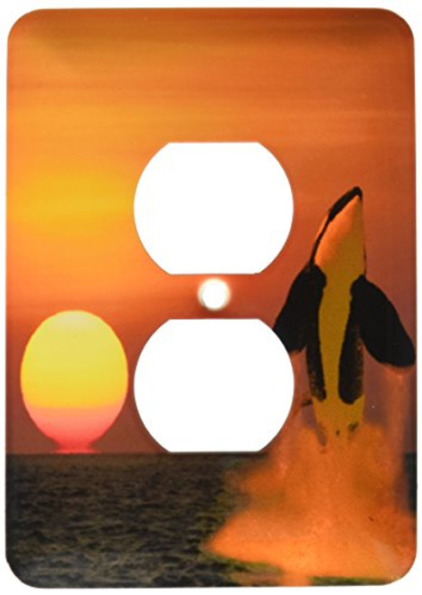 3dRose lsp_46401_6 Breaching Humpback whale, Megaptera novaeangliae. Hawaii Outlet Cover