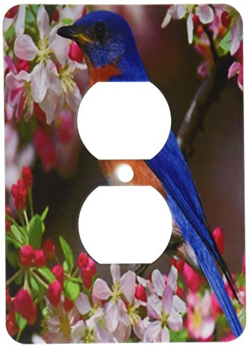 3dRose lsp_55179_6 Beautiful Bluebird N Cherry Blossoms Outlet Cover