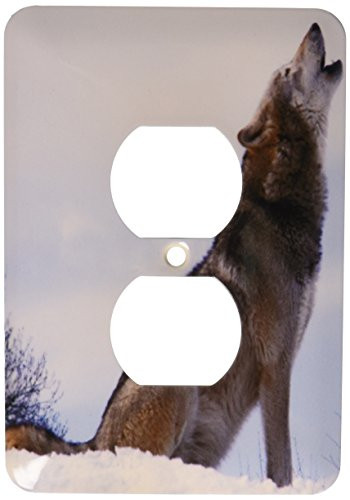 3dRose lsp_62431_6 The The Wolf Howling Plug Outlet Cover