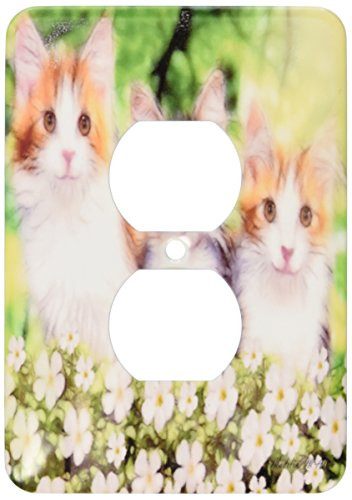 3dRose lsp_15730_6"Cat K" 2 Plug Outlet Cover