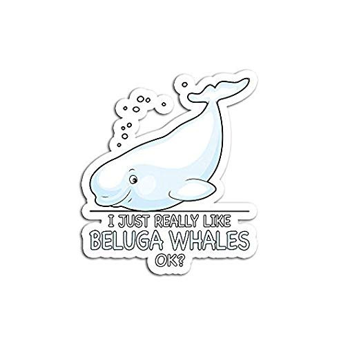 I Just Really Like Funny Beluga Whale - Sticker Graphic - Auto, Wall, Laptop, Cell, Truck Sticker for Windows, Cars, Trucks