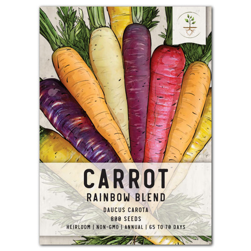 Seed Needs, Rainbow Carrot Seeds - 800 Heirloom Seeds for Planting Daucus carota sativus - Colorful Edible Roots for an Outdoor Garden, Non-GMO & Untreated (1 Pack) Seed Needs, Rainbow Carrot Seeds - 800 Heirloom Seeds for Planting Daucus carota sativus - Colorful Edible Roots for an Outdoor Garden, Non-GMO & Untreated (1 Pack)