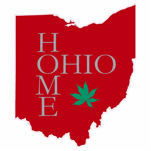 U.S. Custom Stickers Ohio Home Buckeye Leaf State Sticker 3 Inch