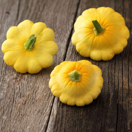 Scallop Yellow Bush Squash Seed - 4 g ~55 Seeds - Heirloom, Open Pollinated, Non-GMO, Farm & Vegetable Gardening Seeds - Summer Squash - AKA: Patty Pan