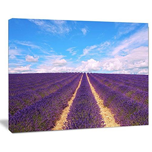Designart PT11348-20-12 Blooming Lavender Flower Field-Oversized Landscape Wall Art Print-20x12, 12" H x 20" W x 1" D 1P