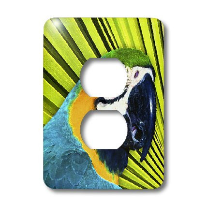 3dRose lsp_49043_6 Colorful Parrot in Tree  Vibrant, Varied Colors Adorn This Lovely Parrot in Palm Frawns  2 Plug  Outlet Cover