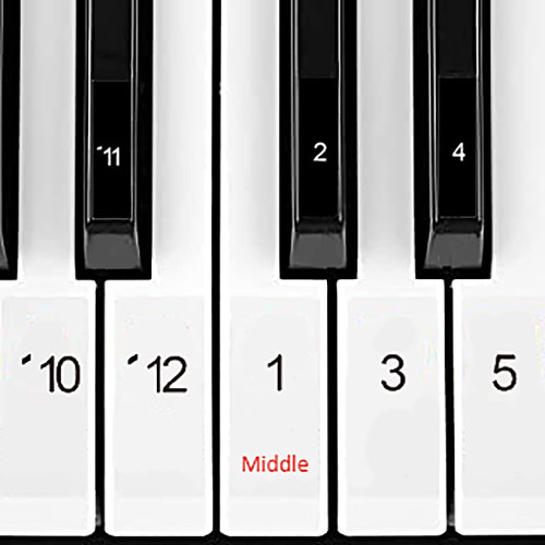 Numbered Piano Keyboard Stickers in Classic Numbers Design with 4 Easy to Play Beginner Songs.