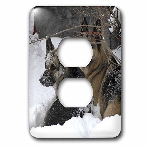 3dRose lsp_51013_6 German Shepherds Best Friends Outlet Cover