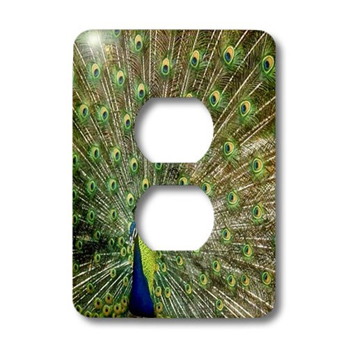 3dRose LSP_61952_6 Peacock with Feathers All Open Plug Outlet Cover
