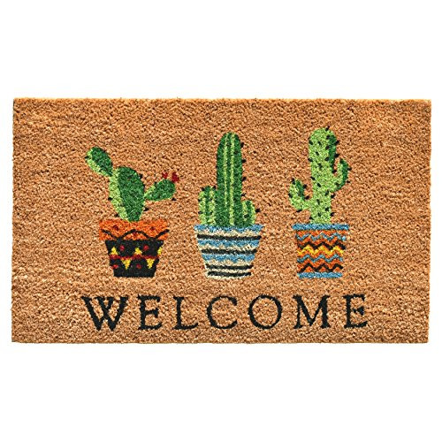 Calloway Mills 104051729 Cactus Welcome Doormat, 17" x 29", Multicolor
