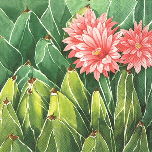 Boston International IHR 3-Ply Cocktail Beverage Paper Napkins, 20-Count, 5 x 5-Inches, Mojave