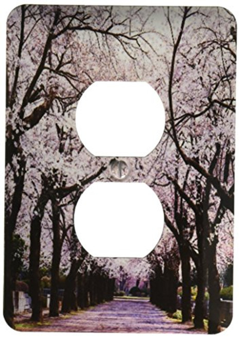 3dRose lsp_50970_6 Lined with Cherry Blossom Trees  2 Plug Outlet Cover