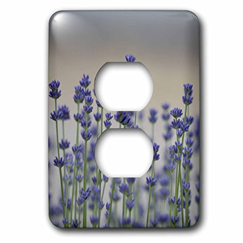 3dRose lsp_54458_6 Field of Lavender Flowers Outlet Cover