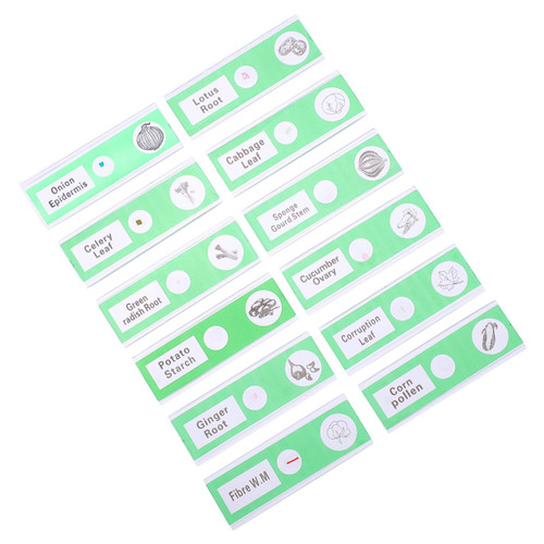 ULTECHNOVO 12pcs Glass Slide Sample Microscope Slides Science Microscope Slides Zoa Slides for Kids Vegetables Veggies Tool Aenima Microscope Slides Collection Abs Specimen Accessories Child