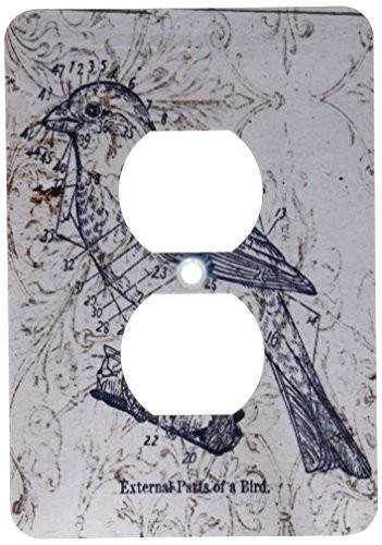 3dRose lsp_110267_6"Vintage Birds With Diagram Steampunk Art" 2 Plug Outlet Cover Multicolor