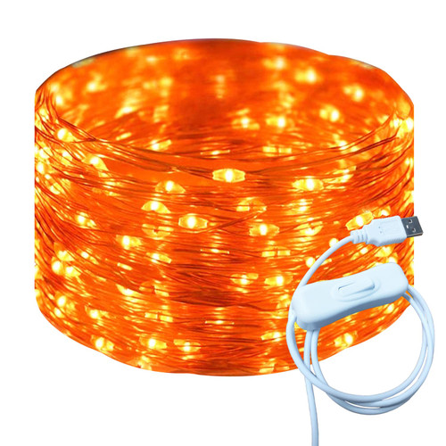 RUICHEN Silver Wire 33 Ft 100 LED USB Fairy String Lights with On/Off Switch (Orange)