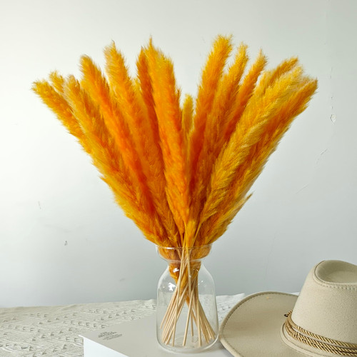 30PCS Small Pampas Grass Dried Flowers Dried Natural Floral Arrangement Decoration Reed Dried Grass,Eternal Flower Pampas Reed Dried Grass Used for Home,Wedding,Party,Flower Bouquet,Photo (Orange)