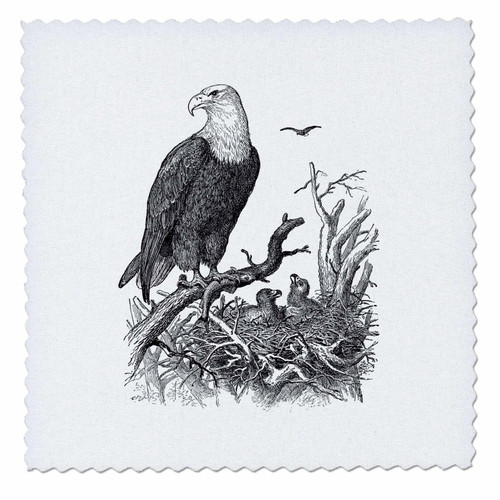 3dRose American Bald Eagle Nest with Juvenile Chicks Bird of Prey... - Quilt Squares (qs-365455-2)