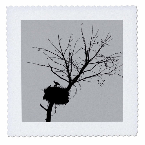3dRose BlackSilhouette of Stork Nest in Tree with Fledglings - Quilt Squares (qs-364723-2)