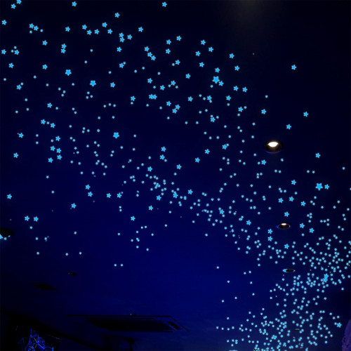 Glow in The Dark Stars Decals Decor for Ceiling 633 Pcs Realistic 3D Stickers Starry Sky Shining Decoration Perfect for Kids Bedroom Bedding Room Gifts(Blue) Glow in The Dark Stars Decals Decor for Ceiling 633 Pcs Realistic 3D Stickers Starry Sky Shining Decoration Perfect for Kids Bedroom Bedding Room Gifts(Blue)