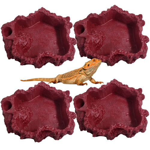 Hamiledyi 4 Pack Reptile Food and Water Dishes Resin Bearded Dragon Food Bowls Leopard Gecko Feeding Dish Chameleon Feeder for Tortoise Snake Hermit Crab Chameleon Frog Hamiledyi 4 Pack Reptile Food and Water Dishes Resin Bearded Dragon Food Bowls Leopard Gecko Feeding Dish Chameleon Feeder for Tortoise Snake Hermit Crab Chameleon Frog