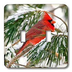3dRose lsp_112146_2 Red and black cardinal perched in snowy pine tree Double Toggle Switch Multicolor
