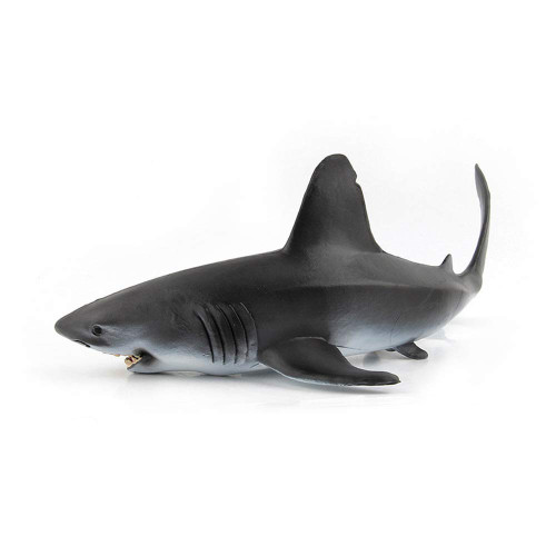 Fantarea Realistic Ocean Sea Marine Animal White Shark Model Figures Figurines Party Favors Decorations Supplies Cake Toppers Bath Toys for Kid Boys Girls Toddlers 5 6 7 8 Years Old Fantarea Realistic Ocean Sea Marine Animal White Shark Model Figures Figurines Party Favors Decorations Supplies Cake Toppers Bath Toys for Kid Boys Girls Toddlers 5 6 7 8 Years Old
