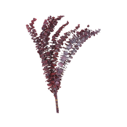VOSAREA 10pcs Spring Leaves Pick Real Touch Gum Leaves Artificial Greenery Leaves Greenery Stems Preserved Real Eucalyptus Artificial Eucalyptus Leaves Faux Eucalyptus Leaves Spray Flowers