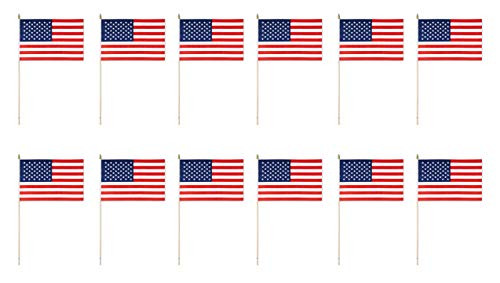 Beistle 50990 12-Pack American Rayon Flag, 11-Inch by 18-Inch