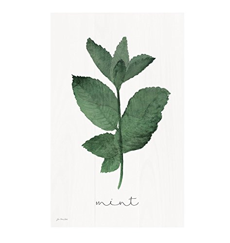 P. GRAHAM DUNN Mint Plant Whitewash 10.5 x 17 Wood Pallet Wall Plaque Sign