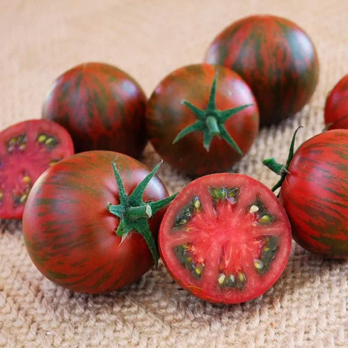 Park Seed, Purple Zebra Tomato Seeds, Pack of 10 Seeds