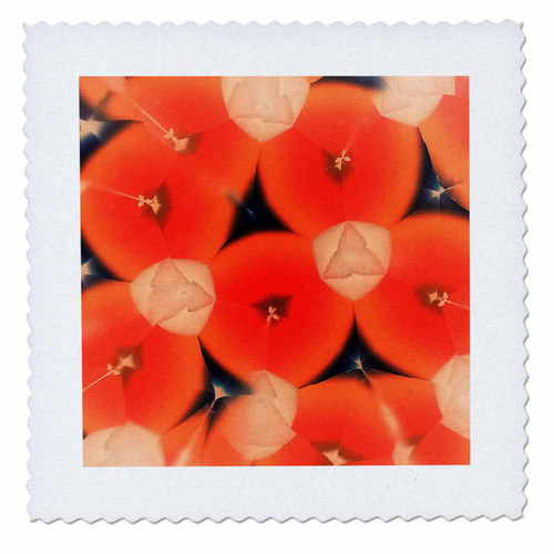 3dRose Image of Bright Orange with Peach and Black in Fractal Mandala - Quilt Squares (qs_351028_5)