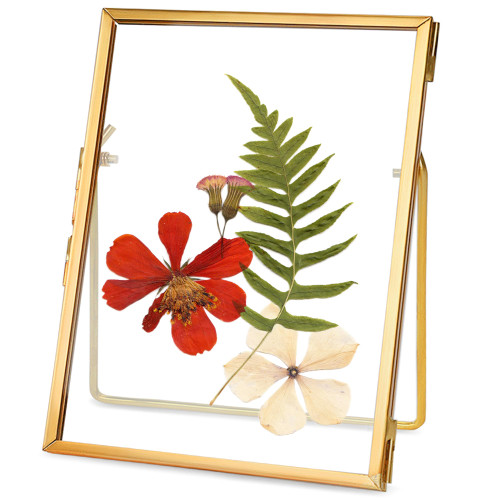 REDHUGO Glass Pressed Flower Frame Handmade, Floating Picture Frames for Pressed Flowers, Tabletop Artwork Photo Frames, Brass Desk Picture Frame for Home Office Plant Specimen, Gold, 4x6 Inches