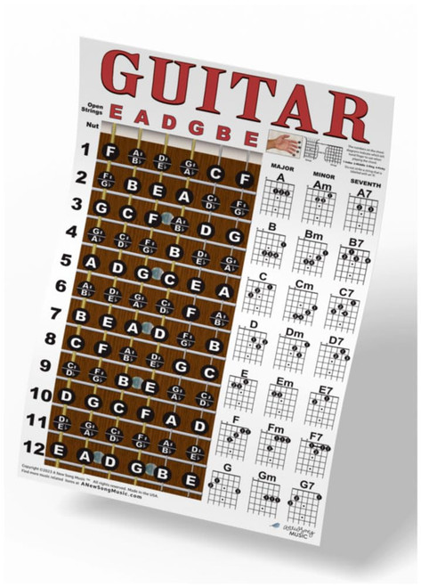 A New Song Music Guitar Chord & Fretboard Note Chart Instructional Easy 11"x17" Poster for Beginners Chords & Notes