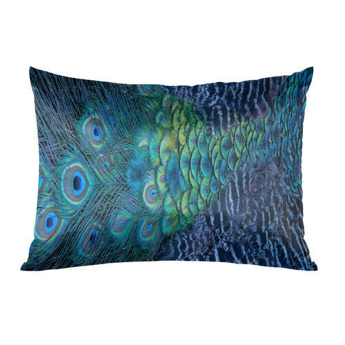 Satin Pillowcase Peacock Feather Print Silk Pillowcase for Hair and Skin, Pillow Cases Queen Size, Luxury Smooth Satin Pillowcase Satin Pillowcase with Zipper