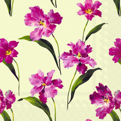 Floral Party Napkins- 40 Count | 2 packs of 20CT Beverage Napkins | Annemarie Design, 5" x 5"