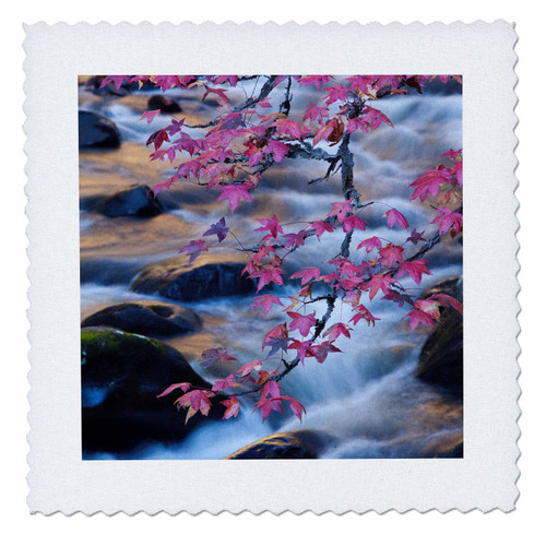 3dRose USA, Smoky National Park, Fall Foliage at a Mountain Stream Quilt Square 10 x 10" 3dRose USA, Smoky National Park, Fall Foliage at a Mountain Stream Quilt Square 10 x 10"