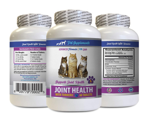 PET SUPPLEMENTS & NUTRITION LLC Hip and Joint Treats for Cats - Cats Joint Health with Turmeric - MSM - Natural Support for Hip and Joints - cat glucosamine chondroitin - 1 Bottle (60 Tablets)