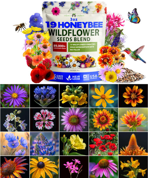 HOME GROWN Honeybee Wildflower Seeds: (3oz) 89,000+ Bulk Mix 19 Varieties Non-GMO, USA-Sourced Wild Flower Seeds for Planting, Bee & Butterfly Perennial, Annual Pollinator Seed Mix of Wild Flowers HOME GROWN Honeybee Wildflower Seeds: (3oz) 89,000+ Bulk Mix 19 Varieties Non-GMO, USA-Sourced Wild Flower Seeds for Planting, Bee & Butterfly Perennial, Annual Pollinator Seed Mix of Wild Flowers