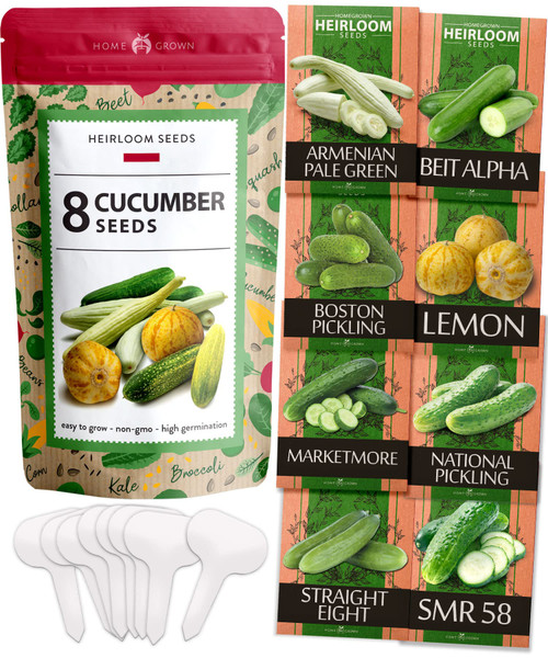 HOME GROWN 8 Cucumber Seeds for Planting - Lemon, National Pickling, Armenian, Beit Alpha, Straight Eight Cucumber Seed - Heirloom & Non GMO Vegetable Seeds (Cucumis sativus) HOME GROWN 8 Cucumber Seeds for Planting - Lemon, National Pickling, Armenian, Beit Alpha, Straight Eight Cucumber Seed - Heirloom & Non GMO Vegetable Seeds (Cucumis sativus)