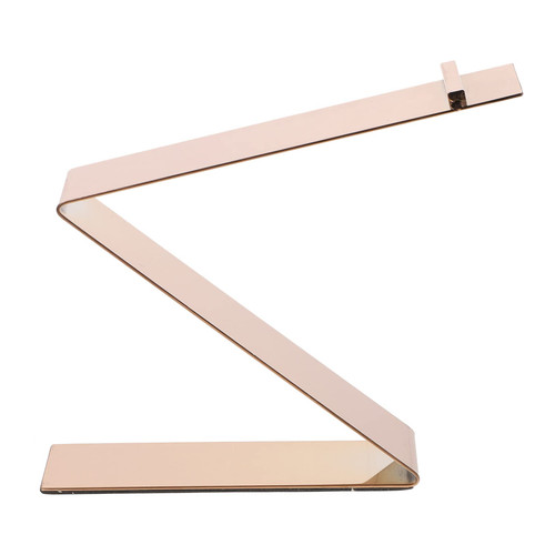 GLEAVI Shoe Display Stand Shoe Rack Display Stand Shelf Stainless Steel Household Metal Shoe Rack