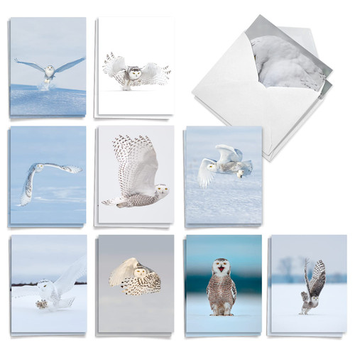 The Best Card Company - 20 Blank Note Cards with Envelopes (4 x 5.12 Inch) - All Occasion Animal Card Assortment (10 Designs, 2 Each) - Snowy Owls AM9518OCB-B2x10