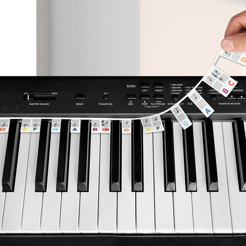 Removable Silicone Piano Notes Guide, Reusable 88 Key Full Size Piano Keyboard Note Labels for Beginners Learning Tool, No Need Stickers, Keyboard Piano Note Strips with Box (Colorful) Removable Silicone Piano Notes Guide, Reusable 88 Key Full Size Piano Keyboard Note Labels for Beginners Learning Tool, No Need Stickers, Keyboard Piano Note Strips with Box (Colorful)