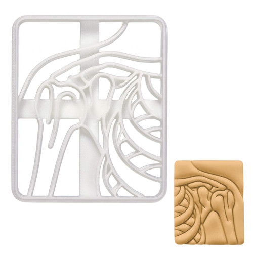 Shoulder X-Ray cookie cutter, 1 piece - Bakerlogy