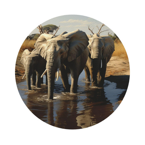 Drink Coasters Set of 6 Elephants Drinking Water Print Coasters for Coffee Table Absorbent Leather Coasters for Drinks Cup Coaster Set Decor for Bar