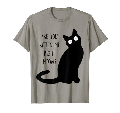 Funny Black Cat Shirt Are You Kitten Me Right Meow Cat Lover T-Shirt Funny Black Cat Shirt Are You Kitten Me Right Meow Cat Lover T-Shirt
