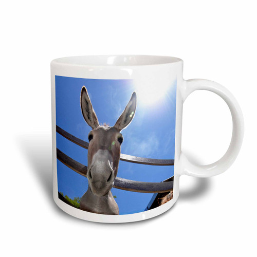 3dRose Donkey in a farm Two Tone Mug, 11 oz, Blue