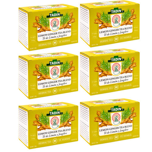 TADIN TEA BAG LEMON GINGER BLEND NAT, 24 Count (Pack of 6)