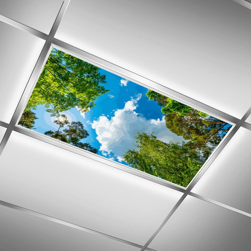 Fluorescent Light Cover for Classroom - 2 Pcs sky trees Magnetic Fluorescent Light Covers, Ceiling Light Covers Shade Panel Coverings for Office Classroom Home Drop Ceiling, 4 X 2 Feet